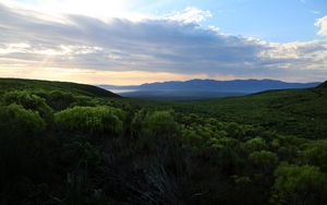 Preview wallpaper forest, trees, hills, clouds, landscape, nature