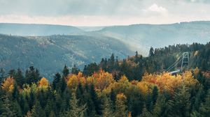 Preview wallpaper forest, trees, hills, landscape, nature