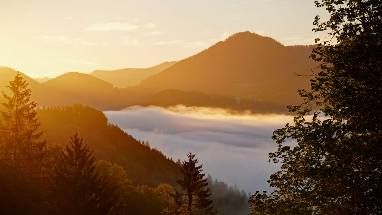 Wallpaper forest, trees, hills, lake, landscape