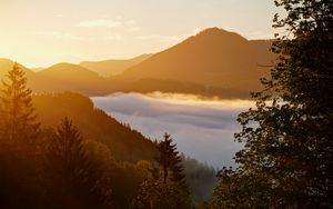 Preview wallpaper forest, trees, hills, lake, landscape