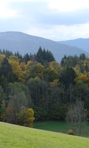 Preview wallpaper forest, trees, hills, landscape, green