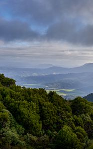 Preview wallpaper forest, trees, hills, valley, nature