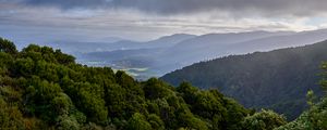 Preview wallpaper forest, trees, hills, valley, nature