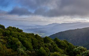 Preview wallpaper forest, trees, hills, valley, nature