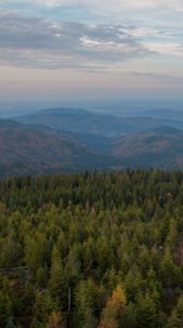 Preview wallpaper forest, trees, hills, landscape