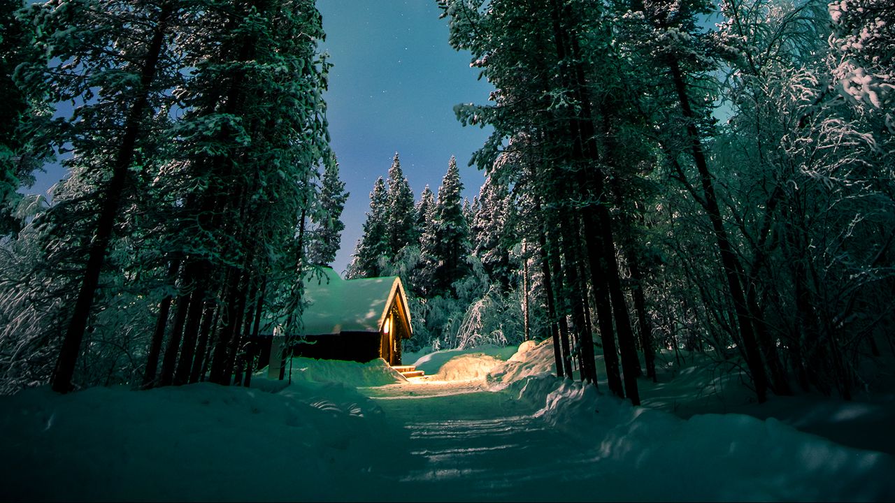 Wallpaper forest, trees, house, snow, winter