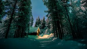 Preview wallpaper forest, trees, house, snow, winter