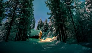 Preview wallpaper forest, trees, house, snow, winter