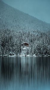 Preview wallpaper forest, trees, house, lake, snow, winter