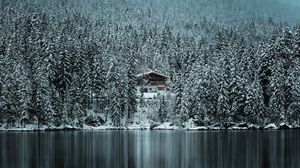 Preview wallpaper forest, trees, house, lake, snow, winter