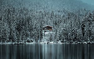 Preview wallpaper forest, trees, house, lake, snow, winter