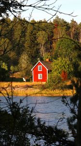 Preview wallpaper forest, trees, house, river, landscape, nature