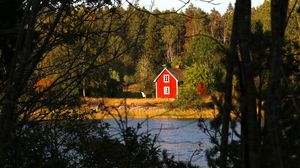 Preview wallpaper forest, trees, house, river, landscape, nature
