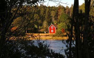 Preview wallpaper forest, trees, house, river, landscape, nature