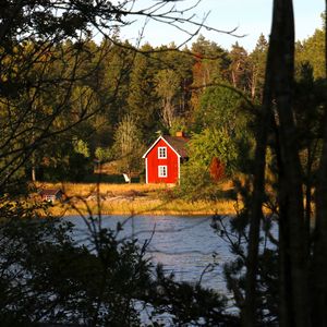 Preview wallpaper forest, trees, house, river, landscape, nature