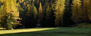 Preview wallpaper forest, trees, house, landscape, glade