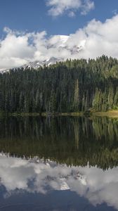 Preview wallpaper forest, trees, lake, reflection, clouds, nature