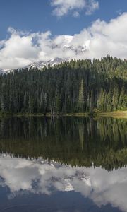 Preview wallpaper forest, trees, lake, reflection, clouds, nature