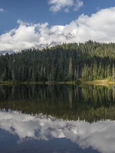 Preview wallpaper forest, trees, lake, reflection, clouds, nature