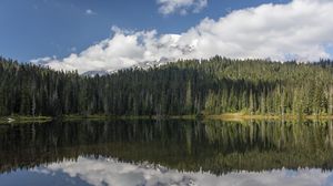 Preview wallpaper forest, trees, lake, reflection, clouds, nature