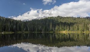 Preview wallpaper forest, trees, lake, reflection, clouds, nature