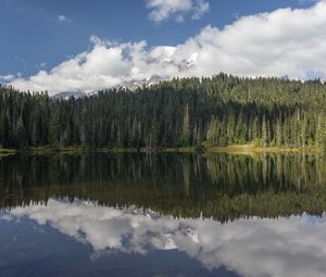 Preview wallpaper forest, trees, lake, reflection, clouds, nature