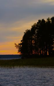 Preview wallpaper forest, trees, lake, sky, horizon, landscape, nature, dark