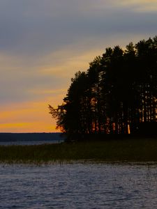 Preview wallpaper forest, trees, lake, sky, horizon, landscape, nature, dark