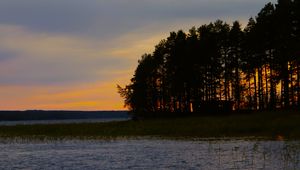Preview wallpaper forest, trees, lake, sky, horizon, landscape, nature, dark