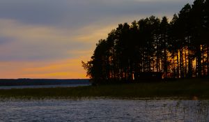 Preview wallpaper forest, trees, lake, sky, horizon, landscape, nature, dark