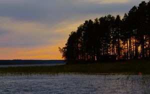 Preview wallpaper forest, trees, lake, sky, horizon, landscape, nature, dark