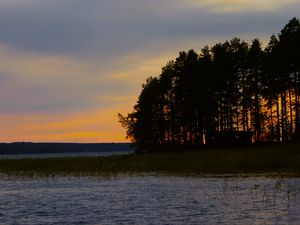 Preview wallpaper forest, trees, lake, sky, horizon, landscape, nature, dark