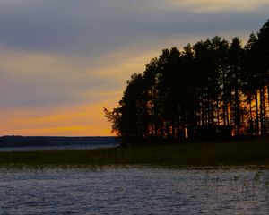 Preview wallpaper forest, trees, lake, sky, horizon, landscape, nature, dark