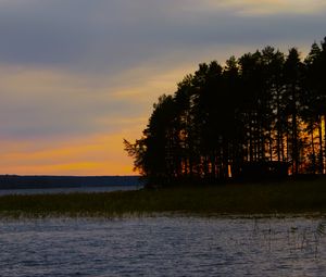 Preview wallpaper forest, trees, lake, sky, horizon, landscape, nature, dark