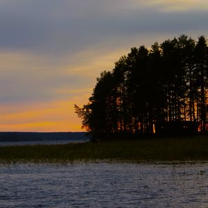 Preview wallpaper forest, trees, lake, sky, horizon, landscape, nature, dark