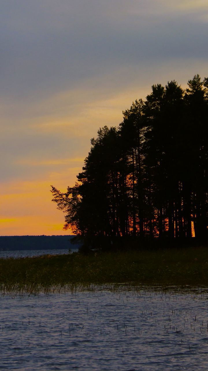 720x1280 Wallpaper forest, trees, lake, sky, horizon, landscape, nature, dark