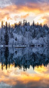 Preview wallpaper forest, trees, lake, reflection, snow, winter