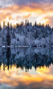 Preview wallpaper forest, trees, lake, reflection, snow, winter