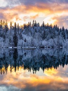 Preview wallpaper forest, trees, lake, reflection, snow, winter