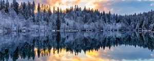 Preview wallpaper forest, trees, lake, reflection, snow, winter