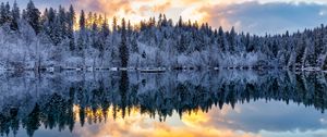 Preview wallpaper forest, trees, lake, reflection, snow, winter