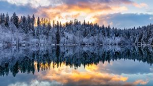 Preview wallpaper forest, trees, lake, reflection, snow, winter