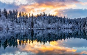 Preview wallpaper forest, trees, lake, reflection, snow, winter