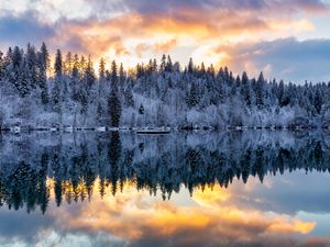 Preview wallpaper forest, trees, lake, reflection, snow, winter