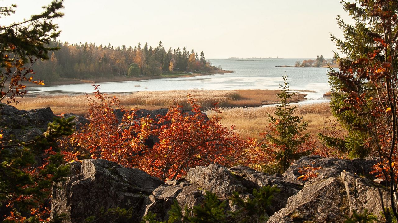 Wallpaper forest, trees, lake, stones, landscape, nature
