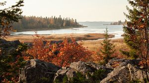 Preview wallpaper forest, trees, lake, stones, landscape, nature