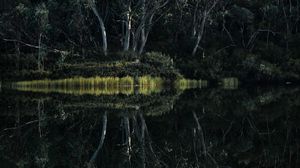 Preview wallpaper forest, trees, lake, reflection, nature, green