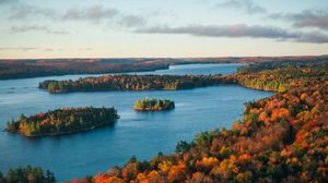 Preview wallpaper forest, trees, lake, nature, landscape