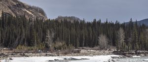 Preview wallpaper forest, trees, lake, ice, rocks, nature