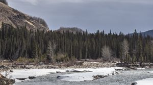 Preview wallpaper forest, trees, lake, ice, rocks, nature